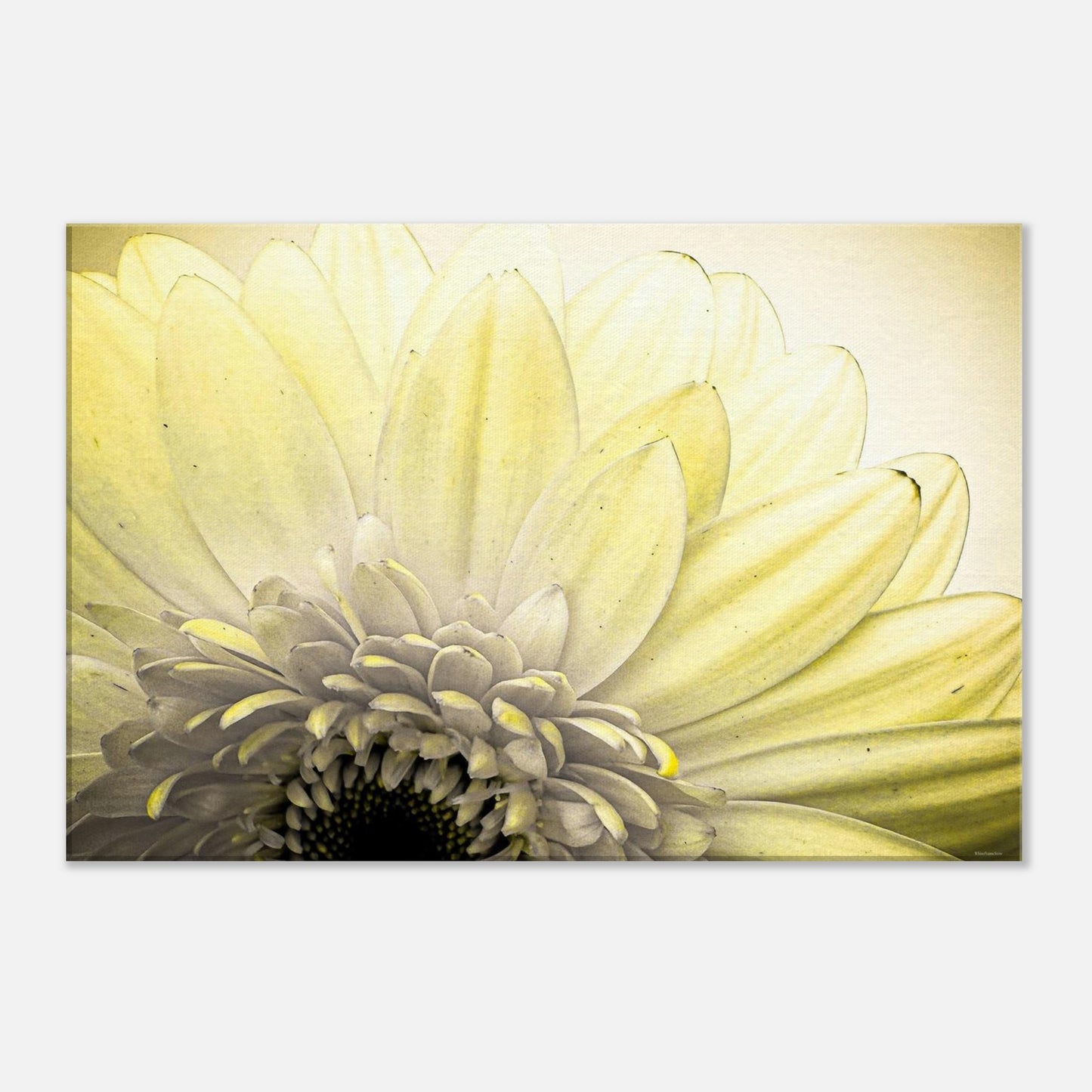 cadd965a-50cf-4bdb-8c5f-7ee51d644d21