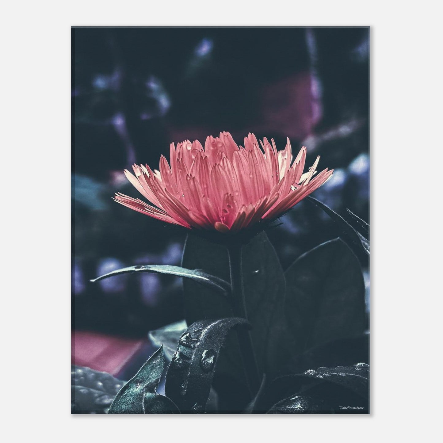 cb0bf3d2-6c42-4ce8-9b44-ed462516af03