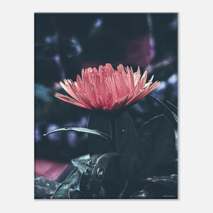 cb0bf3d2-6c42-4ce8-9b44-ed462516af03