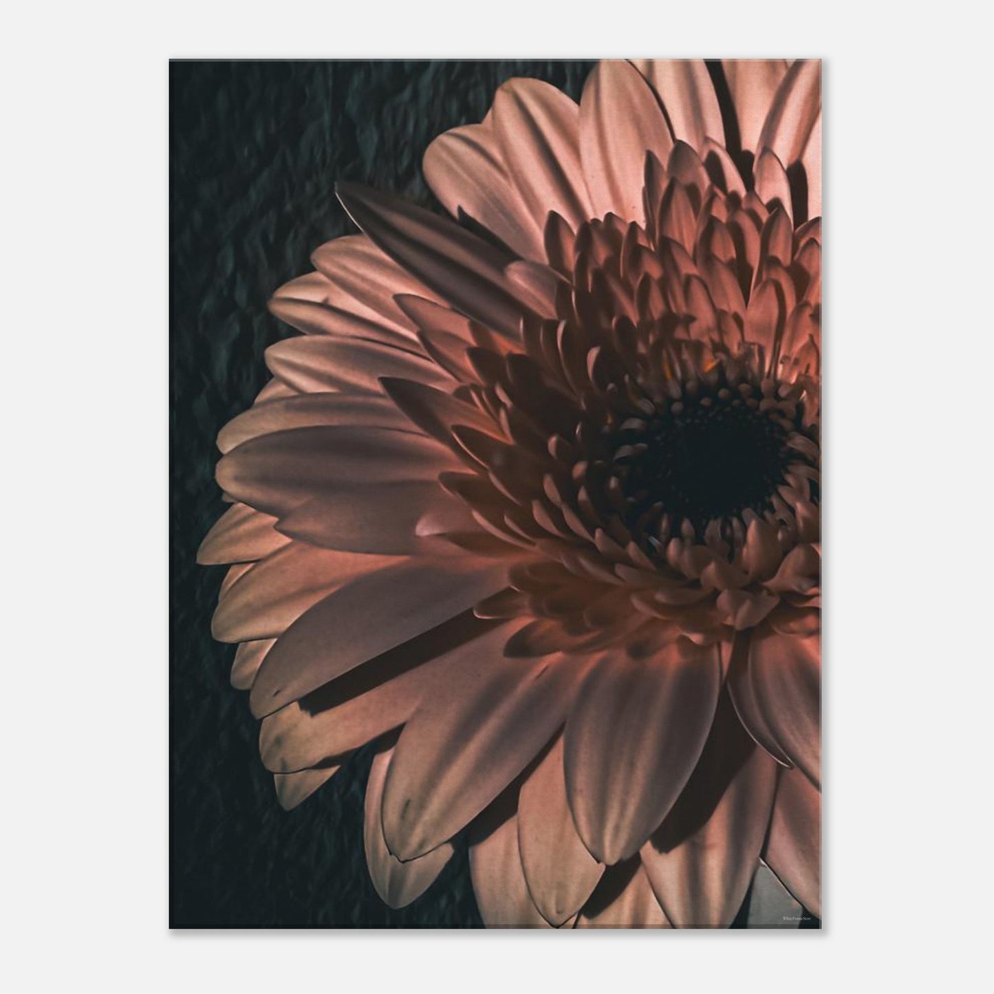 cb29e46b-ab09-4f24-a5a0-20e04fd5b007