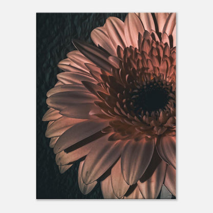 cb29e46b-ab09-4f24-a5a0-20e04fd5b007