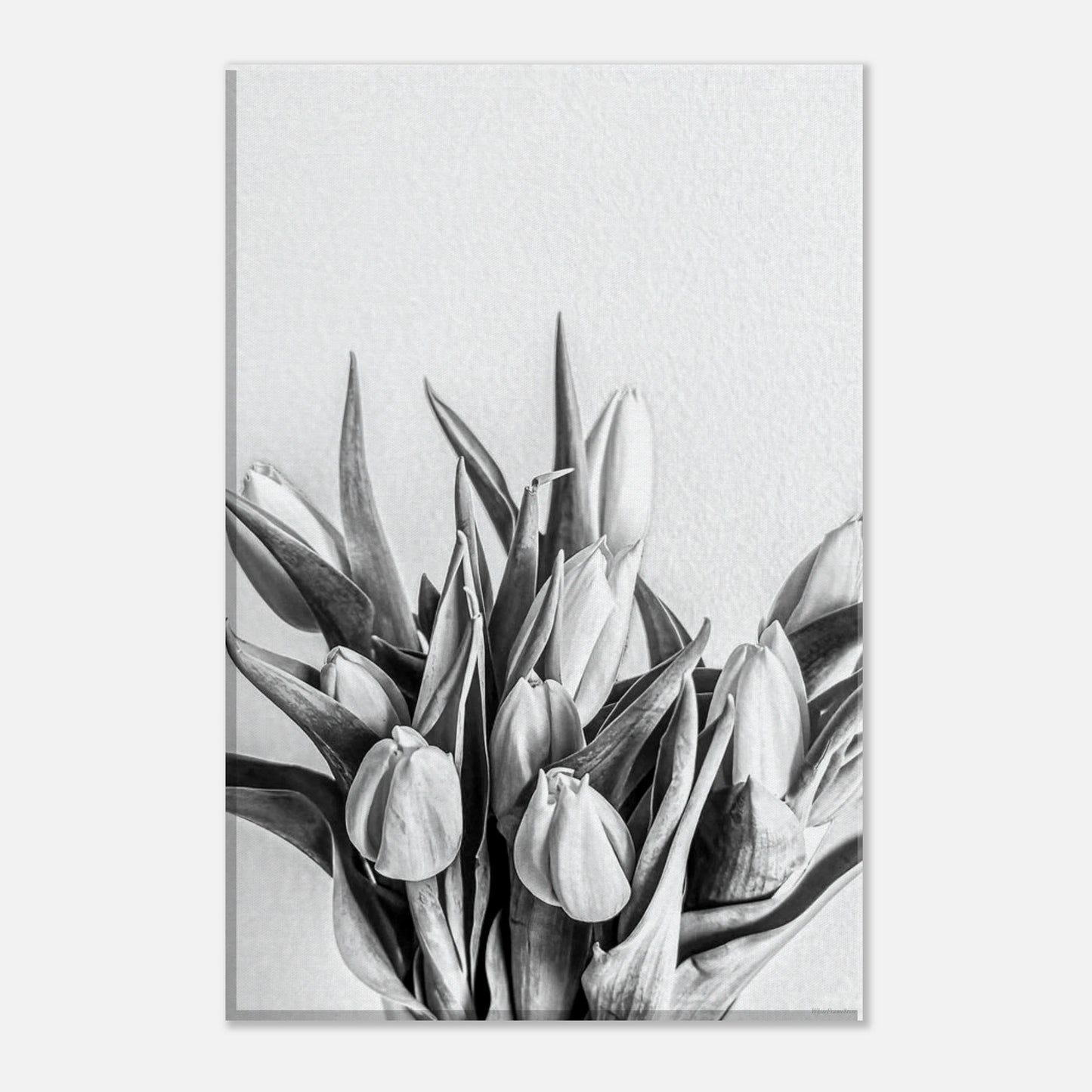 cb3a1e6b-aace-44f7-a880-76becc357253