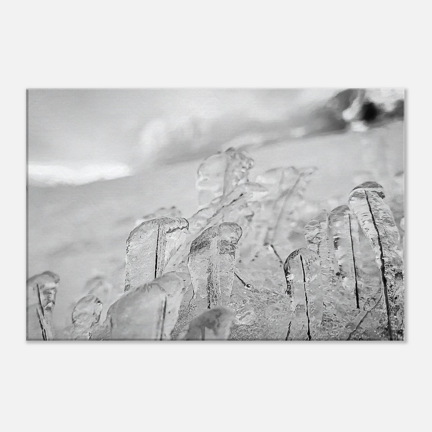 cbb17b86-1b9c-44a9-afc4-88af9e2d707d