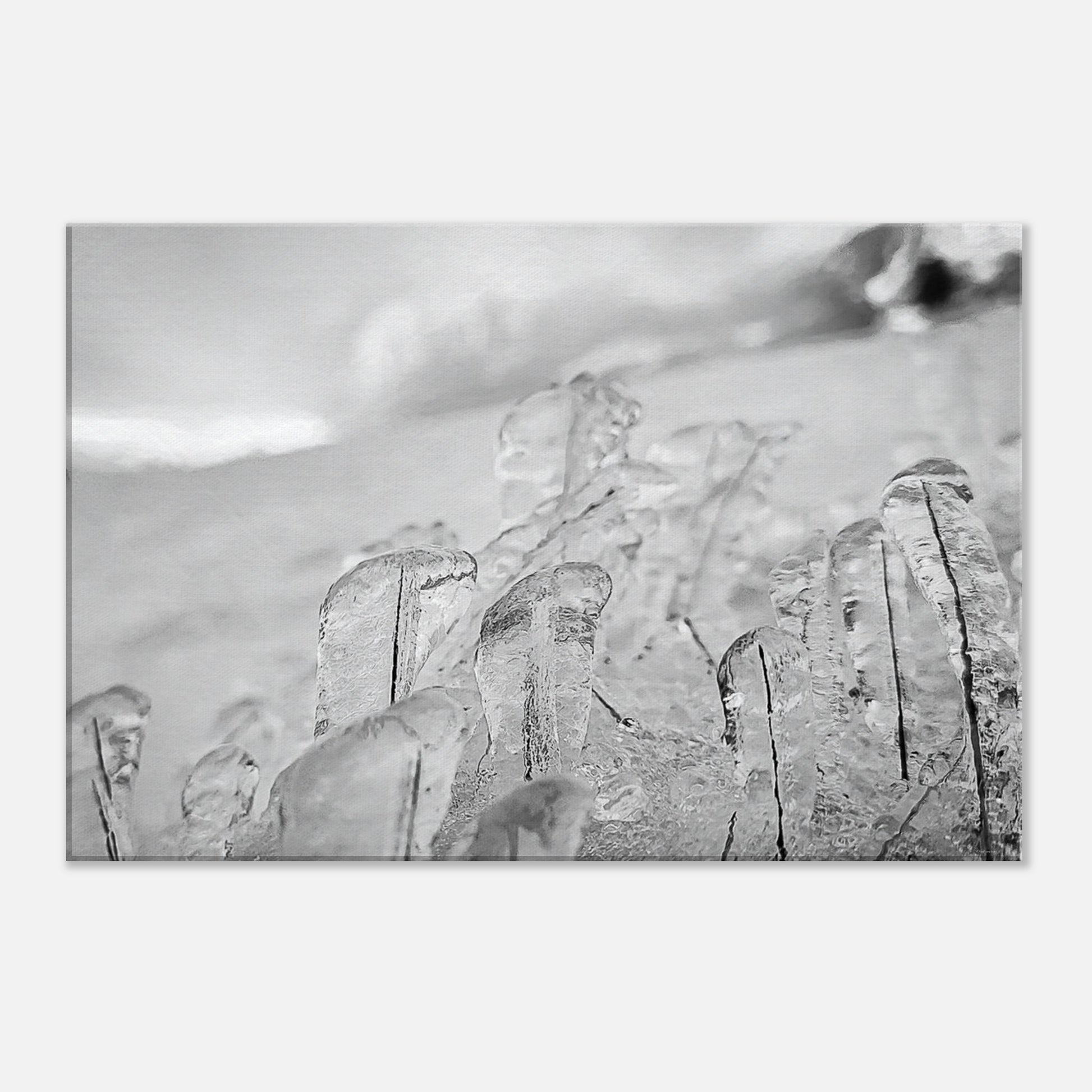 cbb17b86-1b9c-44a9-afc4-88af9e2d707d