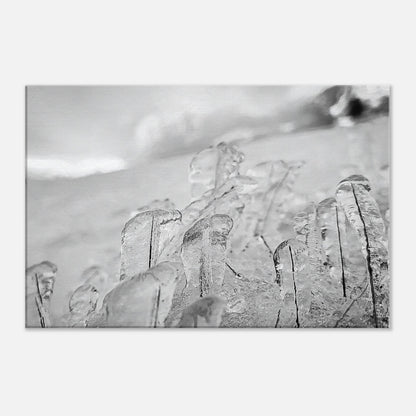 cbb17b86-1b9c-44a9-afc4-88af9e2d707d