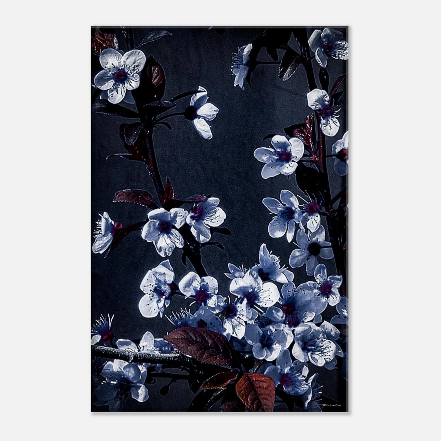 cbc9b718-2f80-44e4-803e-19fb98c2972d