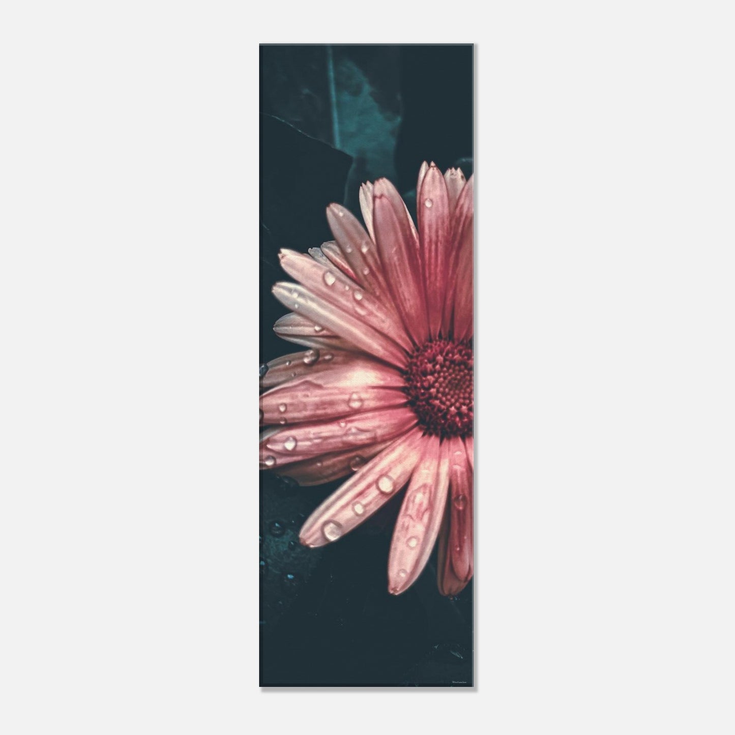 cbe18339-8876-4157-bf56-a17f15ce9965