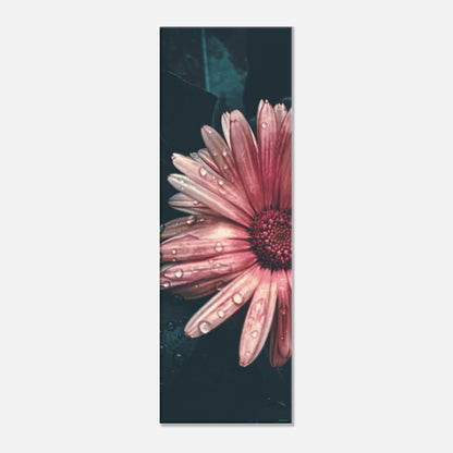 cbe18339-8876-4157-bf56-a17f15ce9965