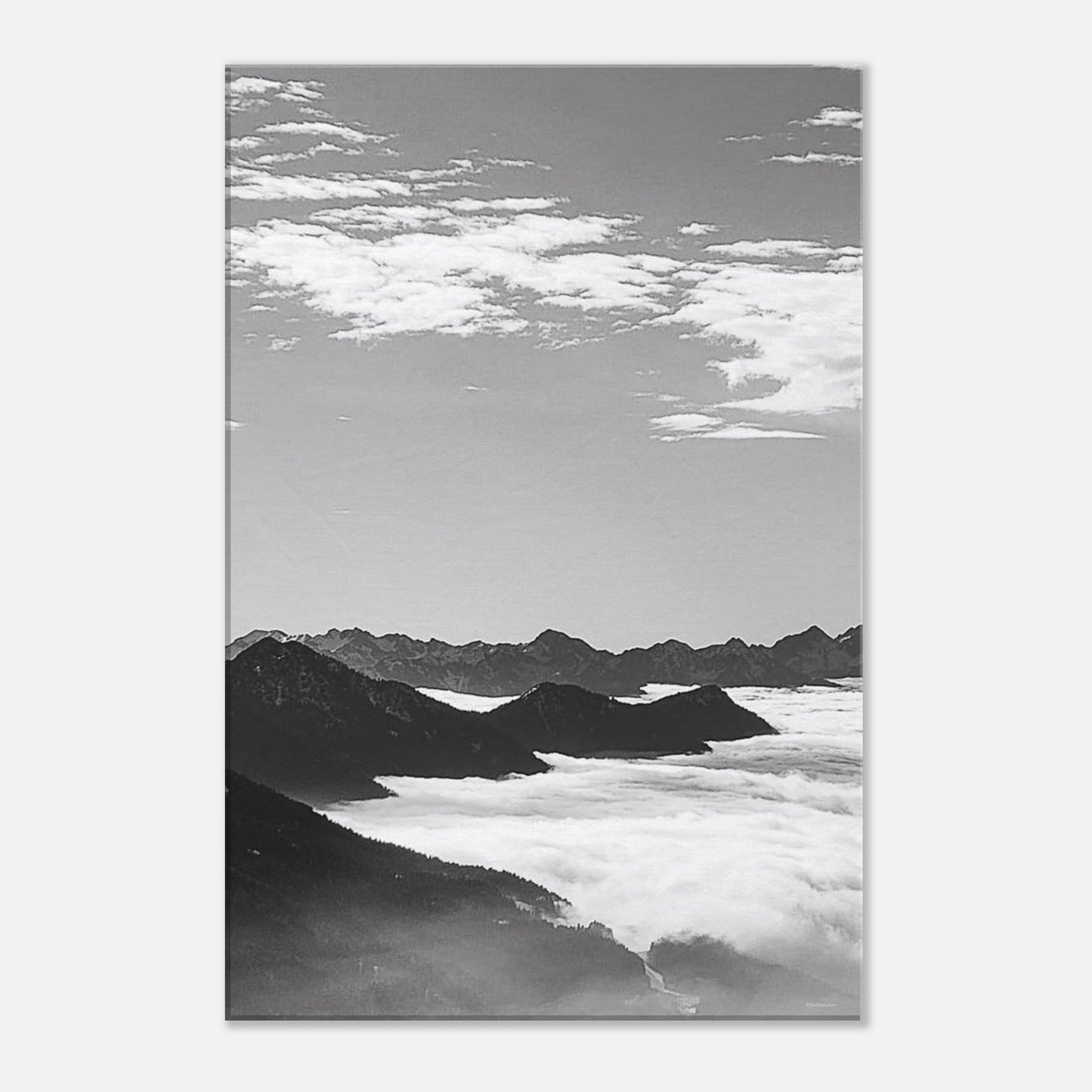 cbf57dd7-bc9c-45d2-aa03-4f61ed1bbfad