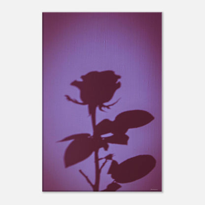 cbfaa617-44a3-49db-a38e-28a601acc0c5