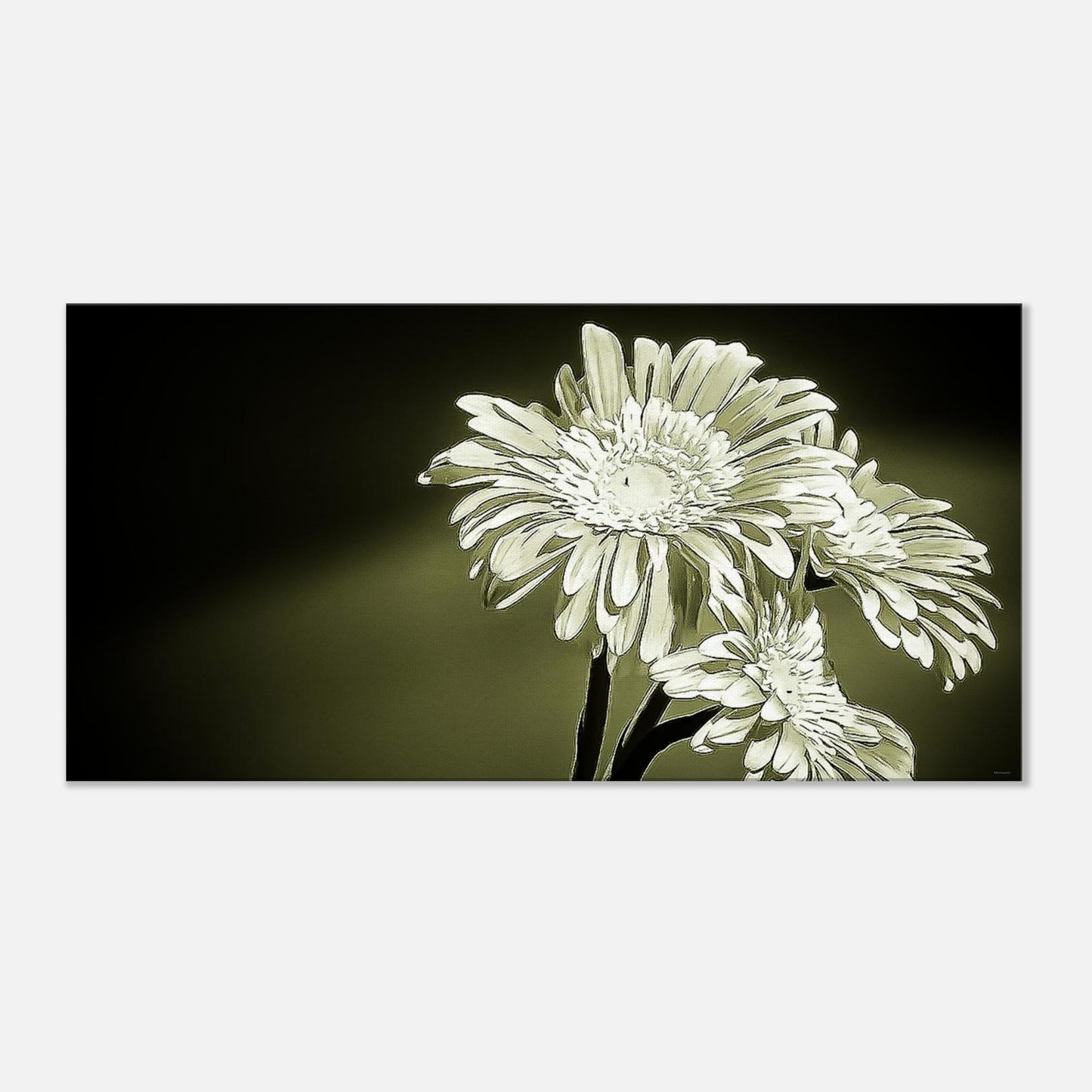 cc048d14-bfb3-4a2c-97ad-16d1d827381d