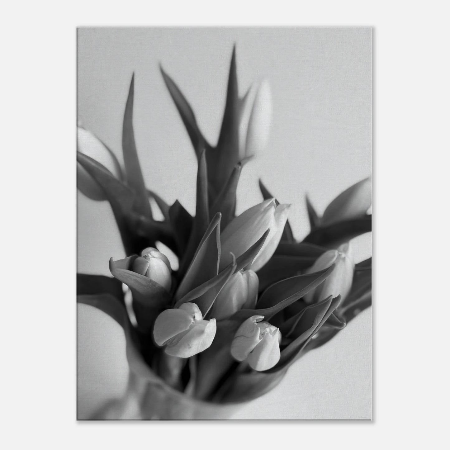 cc70da82-3efc-4201-a7fb-beab62a39299