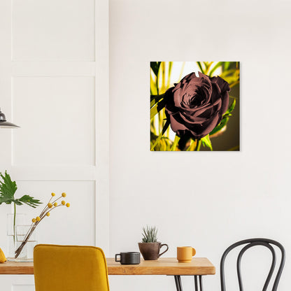 cc80814f-818b-4b4d-92a1-cb3a6f4b3a07