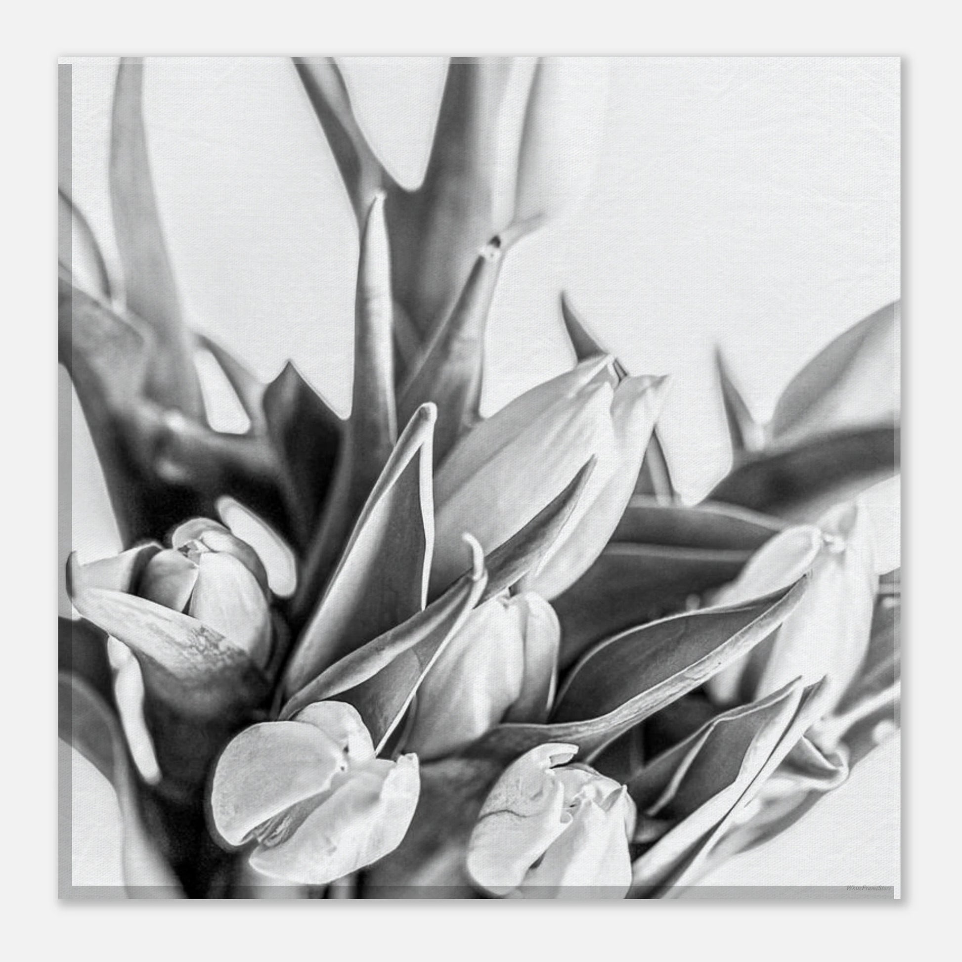 cc923f13-bf71-4580-9c26-f2e1c9ecc8f9