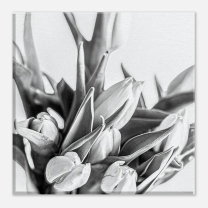 cc923f13-bf71-4580-9c26-f2e1c9ecc8f9