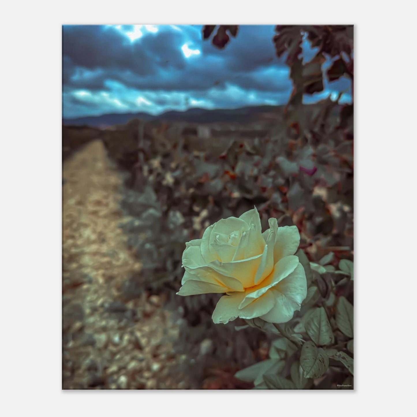 ccbc28a2-1835-4b95-84c4-07263bfadfeb