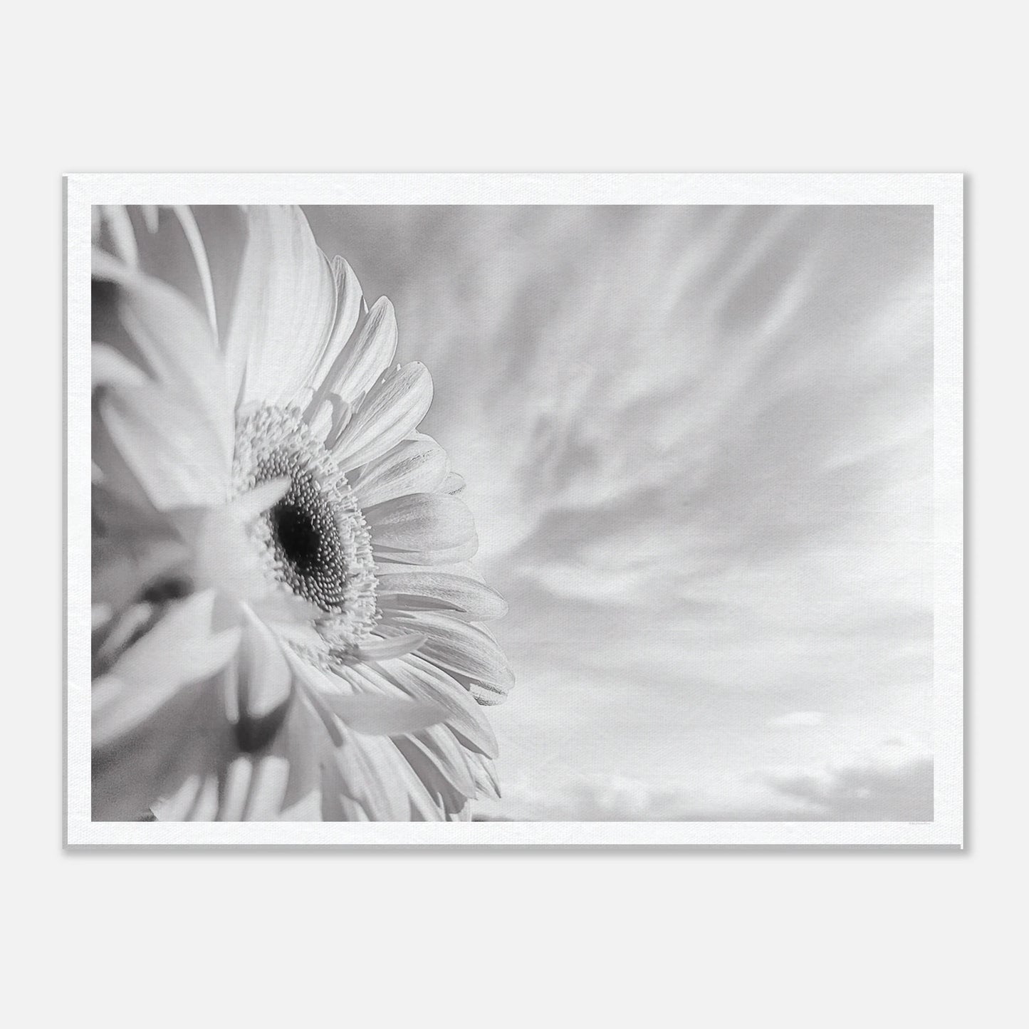 ccc0e900-63c8-439e-9ce7-b0f9b36b96e1