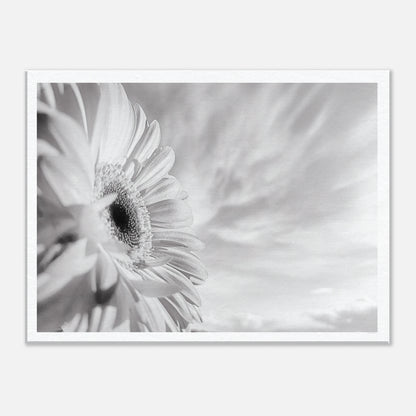 ccc0e900-63c8-439e-9ce7-b0f9b36b96e1