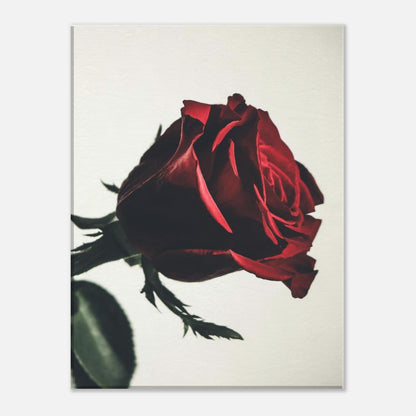 ccc1ddd6-e0ea-478d-abdc-9f708563457f