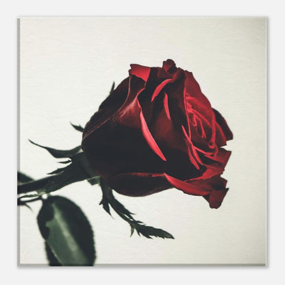 ccdcdc31-916a-4c31-964a-36f430e7559b