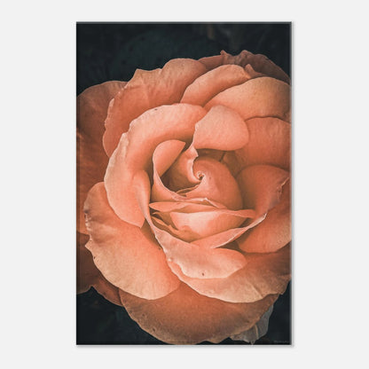 cd1f9518-830d-4630-b2f6-2a76d0a35067