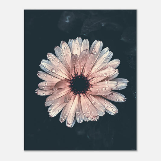 cd41f2a9-0695-4255-a9ab-b3a8b366cb05