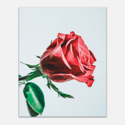 cd6e3373-9828-4e1f-96fe-e50d3ab4d8d0