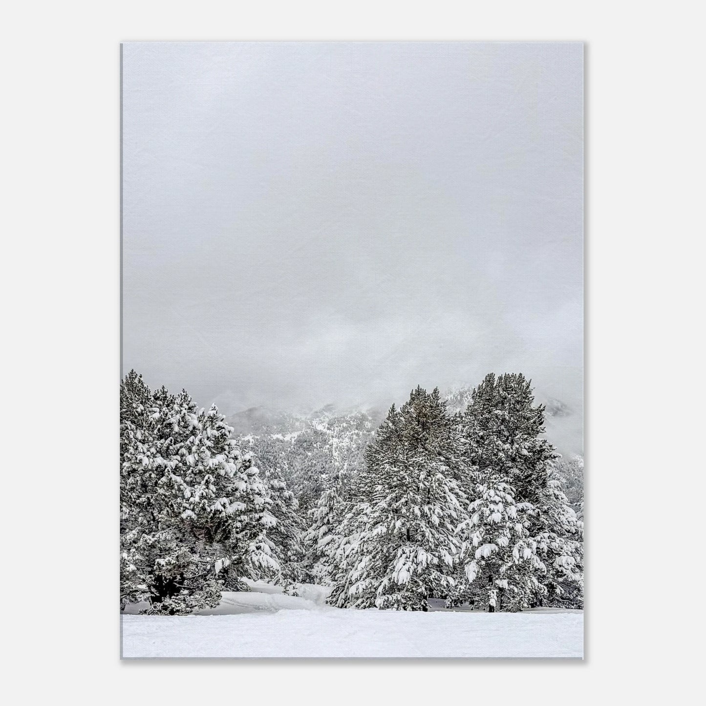 cdb7c12f-ba2b-4ccb-b0a1-ffae44b7e79e