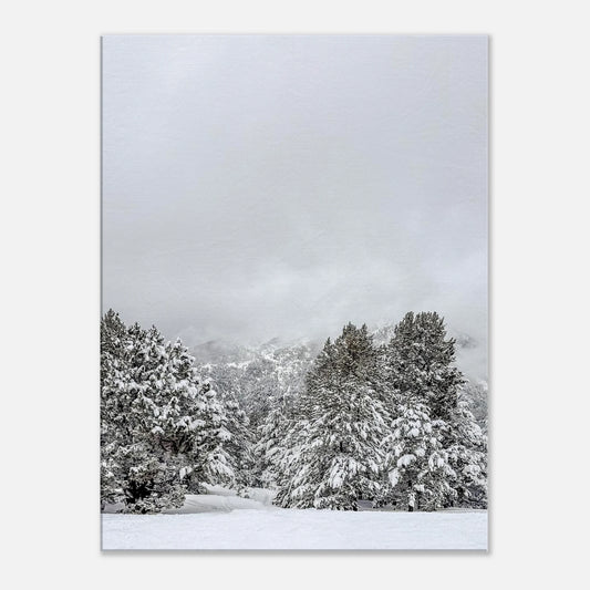 cdb7c12f-ba2b-4ccb-b0a1-ffae44b7e79e