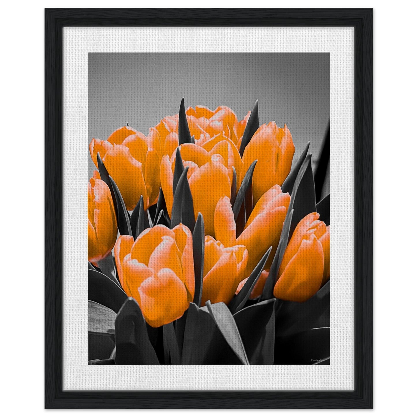 cdcbbb4c-8be6-4551-985e-4e96aedf59b5