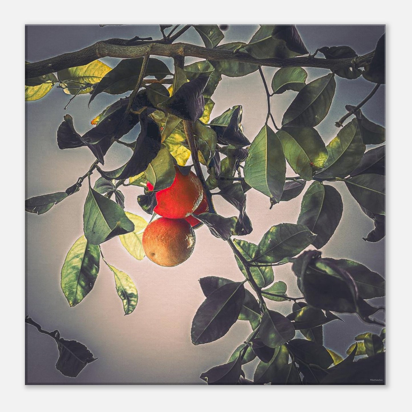 cddecd1a-7b71-4e7b-866f-17216e7d27eb