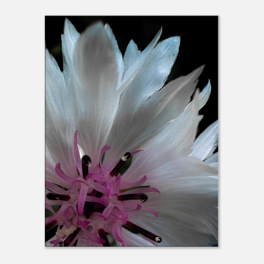 cdec4621-54da-4afe-989e-de02f8d78faf