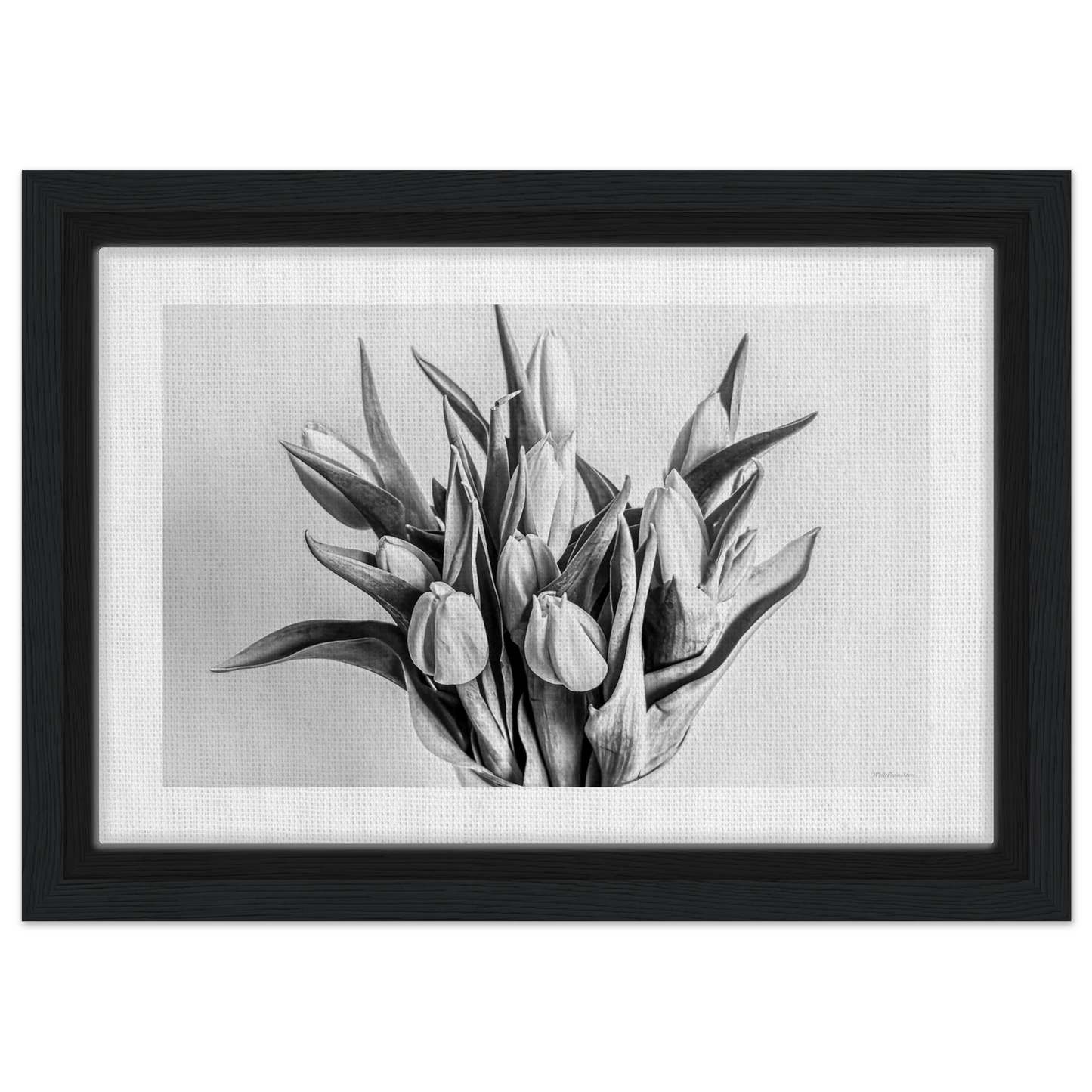 ce623478-815e-47d6-84df-3a8eca2f6d52