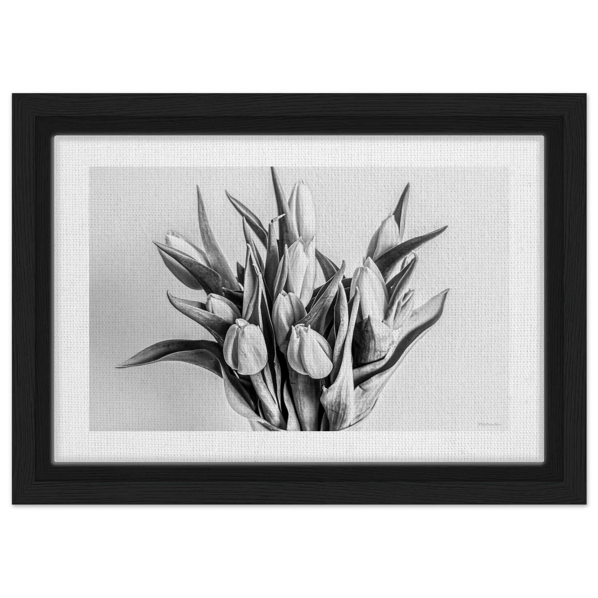 ce623478-815e-47d6-84df-3a8eca2f6d52