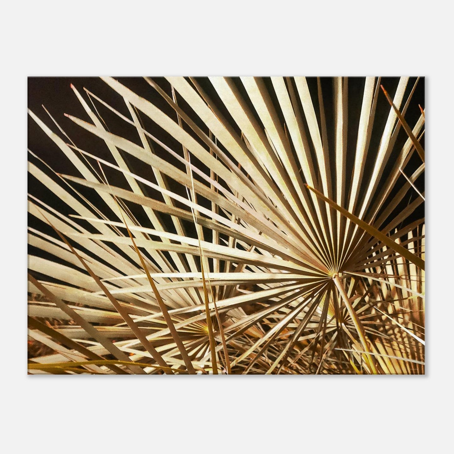 ce77ad56-0d2e-41df-a677-97fb3809f004