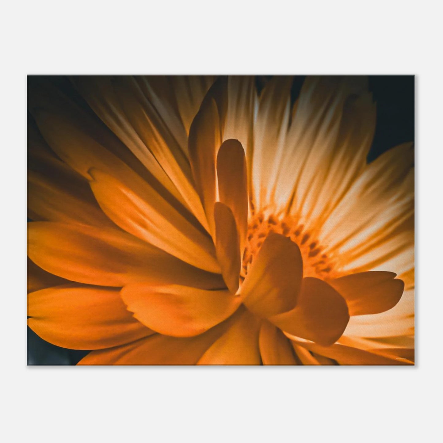 ce7e2f0c-5e29-413f-887a-a0b02292b076