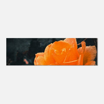 cecec9c0-8326-46fc-af71-06350f5d11e8