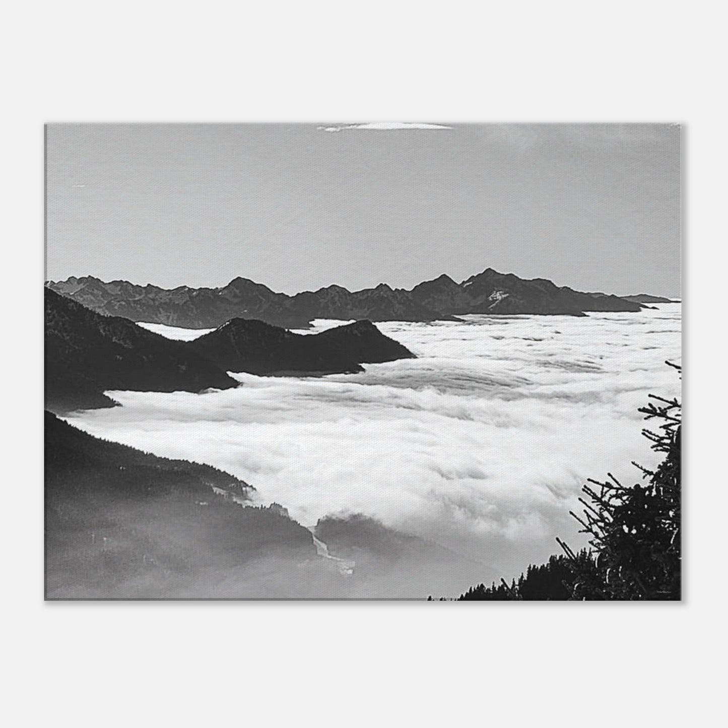 cee8fec1-15fe-44bd-81e8-4e99db9cc910