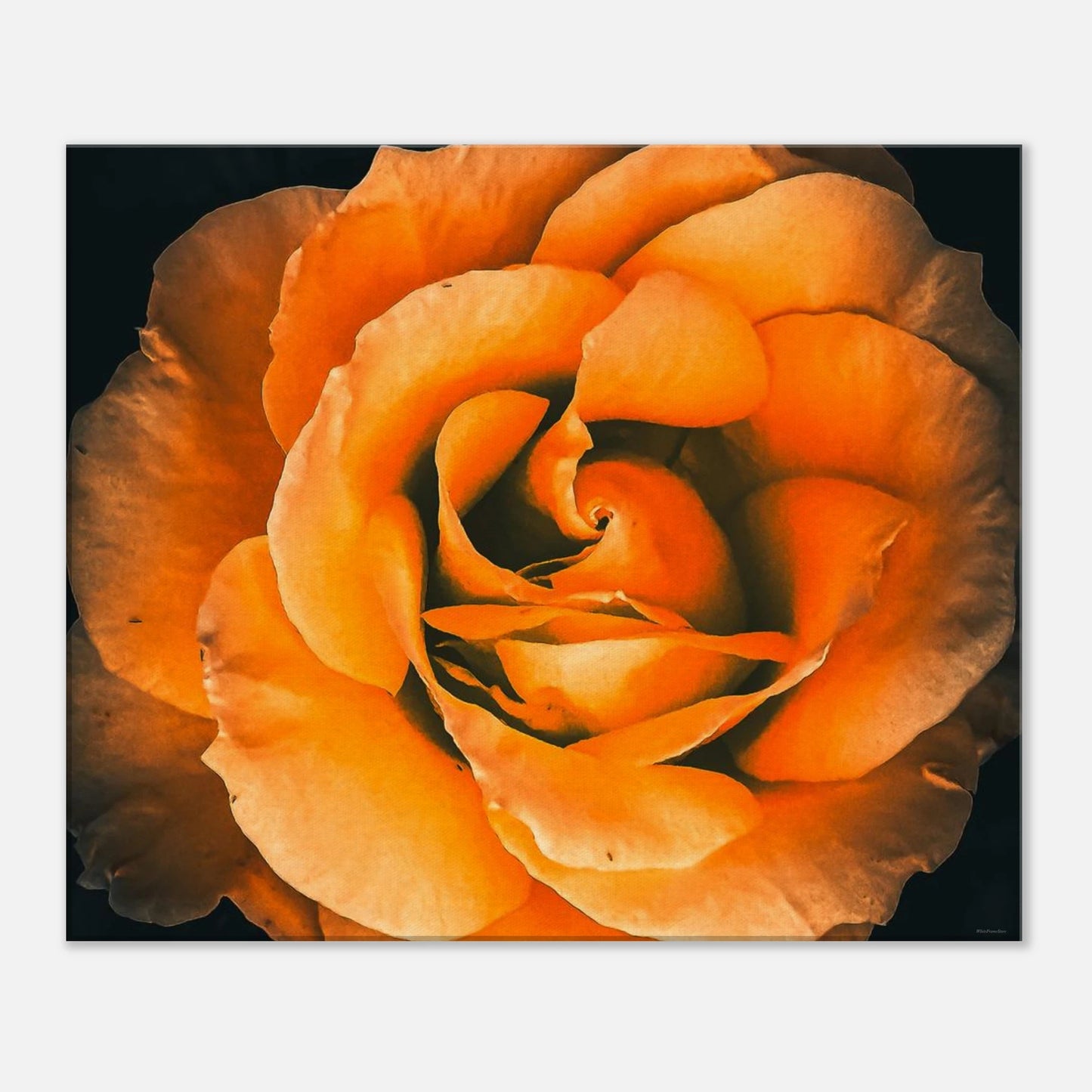 ceef838f-0ec0-4b05-a92a-3104ad50fc7b