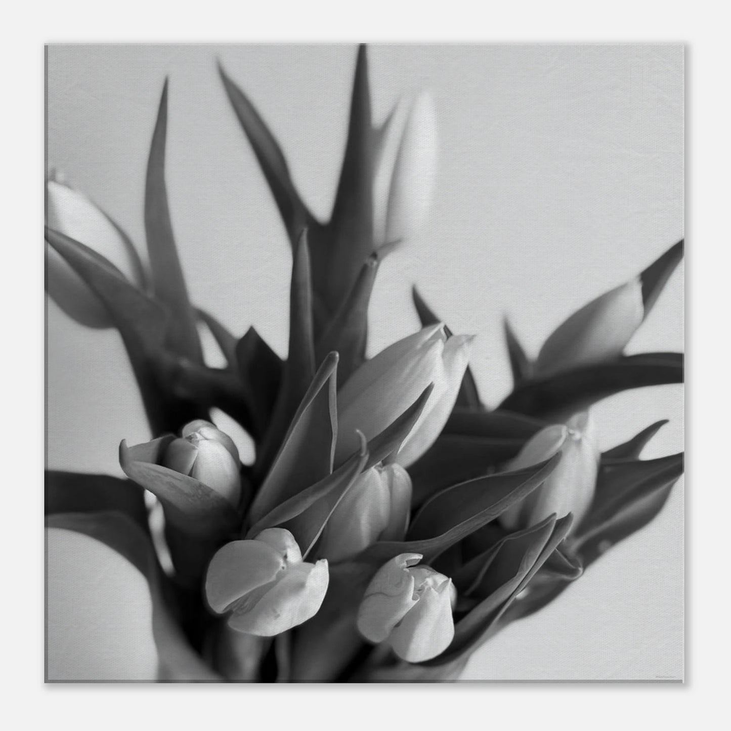 cef27499-afea-4acb-a875-18300df86b7a