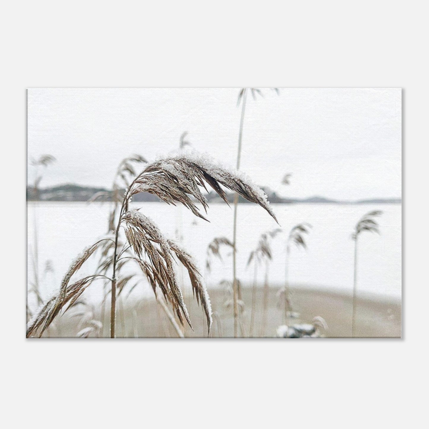 cf0005ad-6af4-4b85-bf82-6021da18ffb9