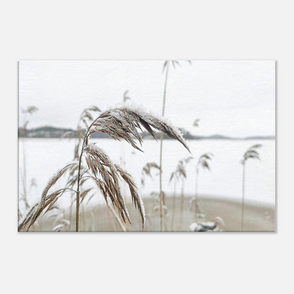 cf0005ad-6af4-4b85-bf82-6021da18ffb9