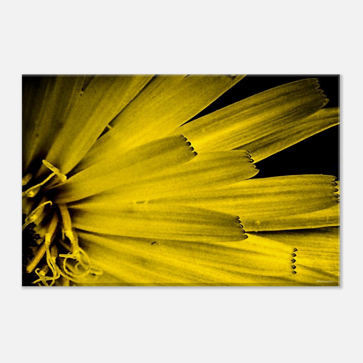 cf1fc580-90d7-4f90-88ad-c472d4025b99