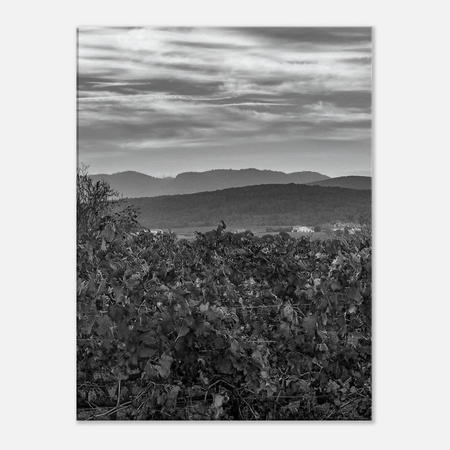 cf2ab00e-b1bb-4c15-bf19-b18cff68a818