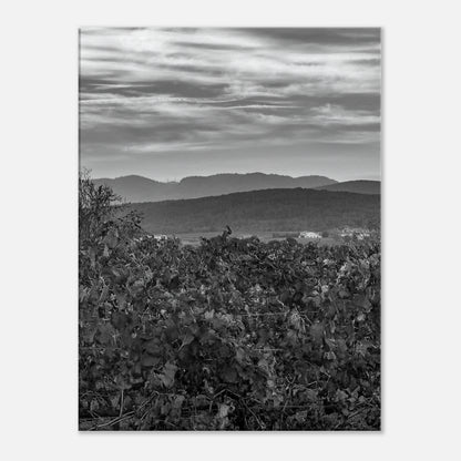 cf2ab00e-b1bb-4c15-bf19-b18cff68a818