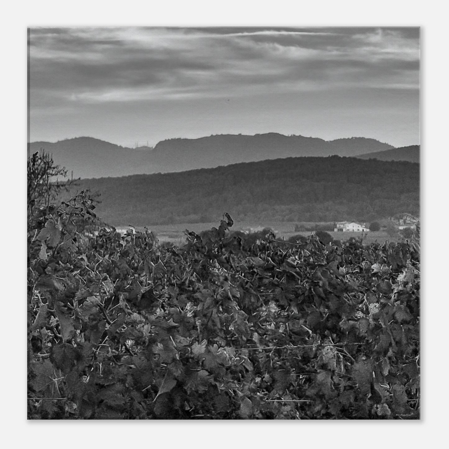 cf482ac6-57fb-40a4-9ce7-92c01ea8ca36