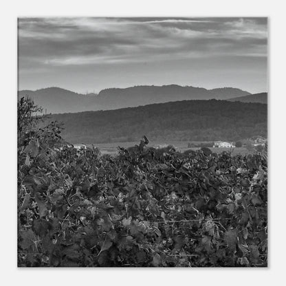 cf482ac6-57fb-40a4-9ce7-92c01ea8ca36