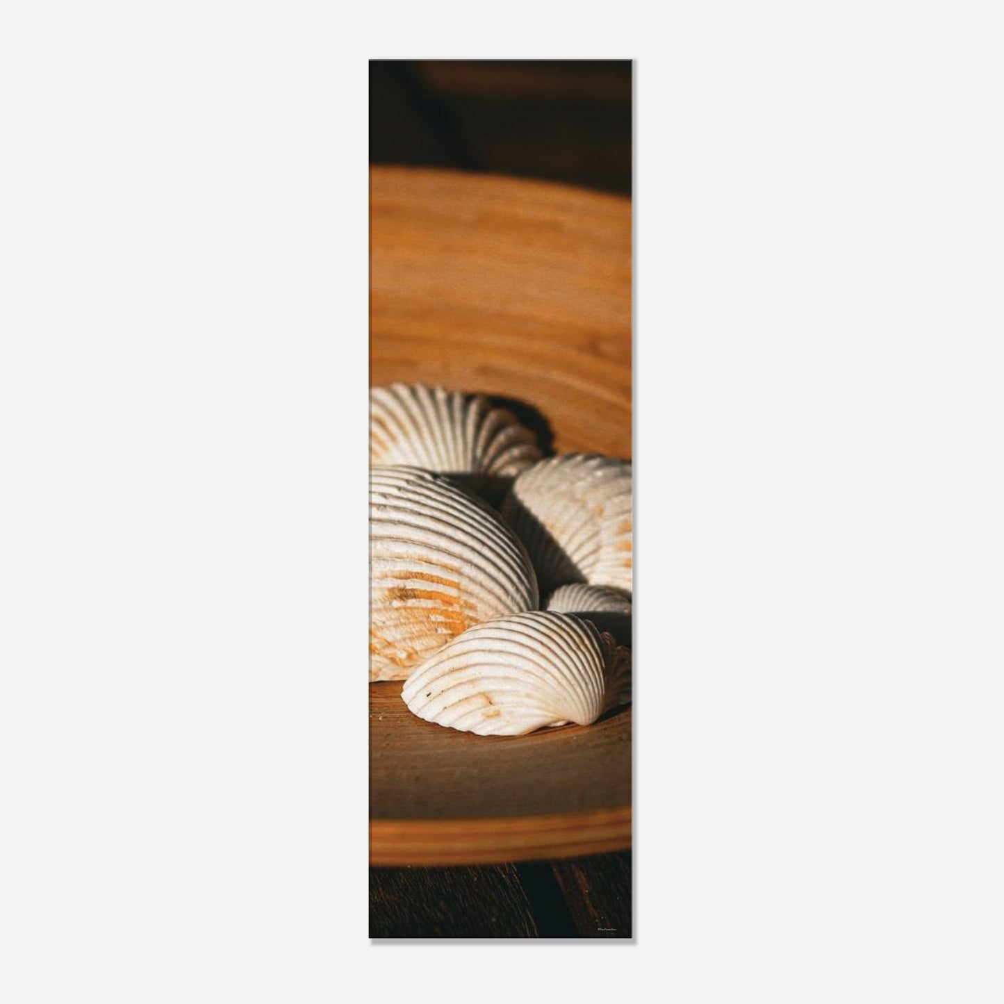 cf4d3983-f9b9-4a5e-9882-65046dd42366