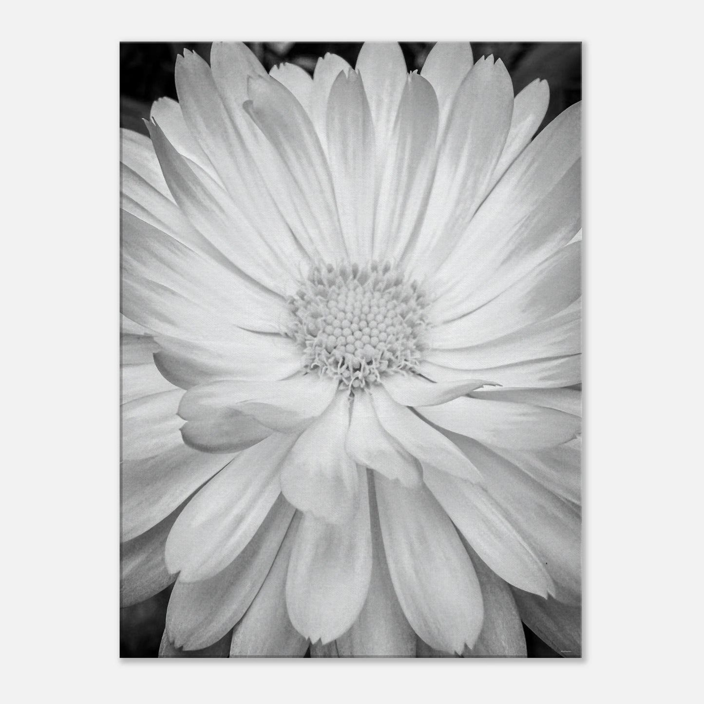 cf5cfd6f-026b-4b78-a5e8-394efc26e64b