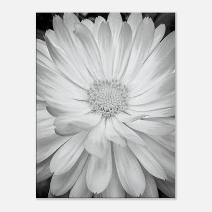 cf5cfd6f-026b-4b78-a5e8-394efc26e64b